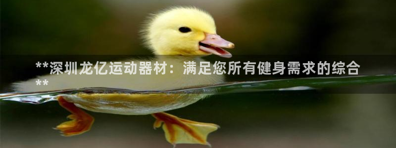 意昂3集团E.ON:**深圳龙亿运动器材:满足您所有健身需求