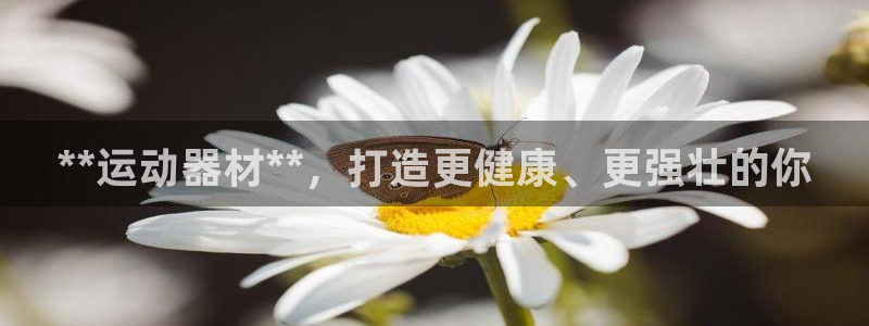 意昂体育3招商:**运动器材**,打造更健康、更强壮的你