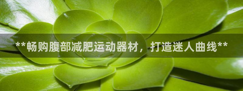 意昂体育3平台注册流程图:**畅购腹部减肥运动器材,打造迷人